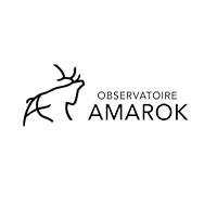 Logo Observatoire Amarok